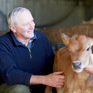 Cliff Shearer – Taranaki